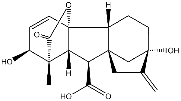 赤霉素GIBBERELLIC ACID，居然有這么神奇？